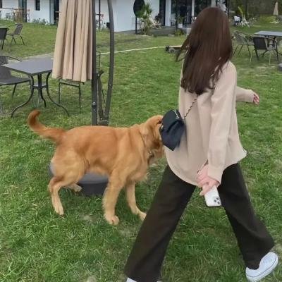 绿林怪杰