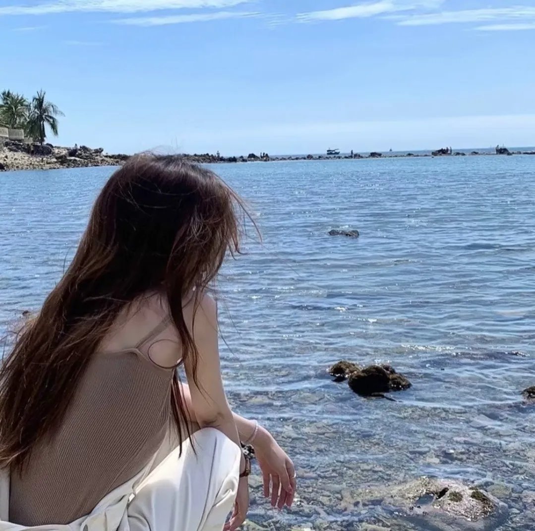 大白鲨4:复仇