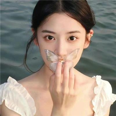 纽约杀人机器